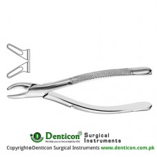Cryer American Pattern Tooth Extracting Forcep Fig. 150 (For Upper Incisors, Canines, Premolars and Roots) Stainless Steel, Standard